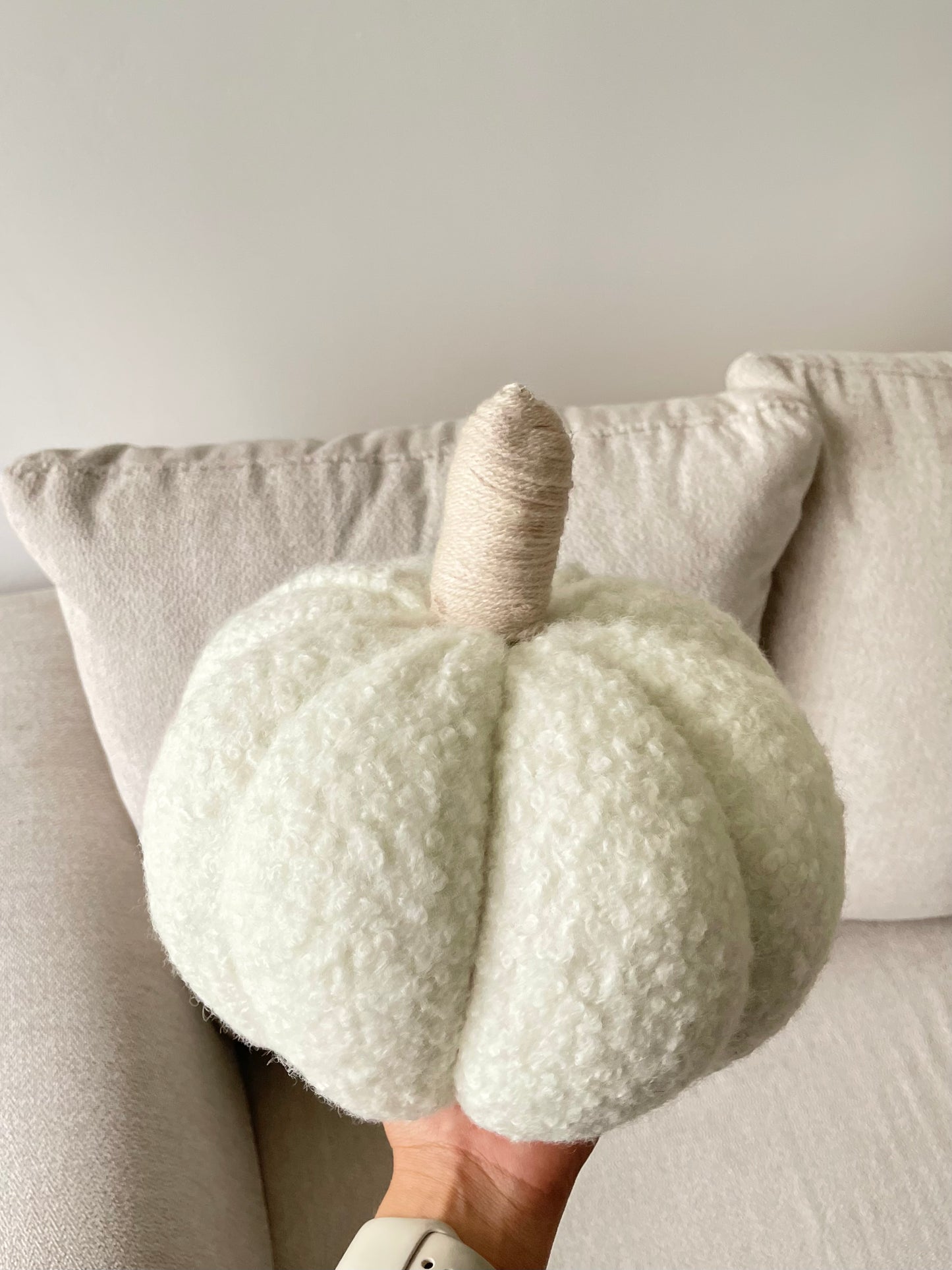 Calabazas Cojin