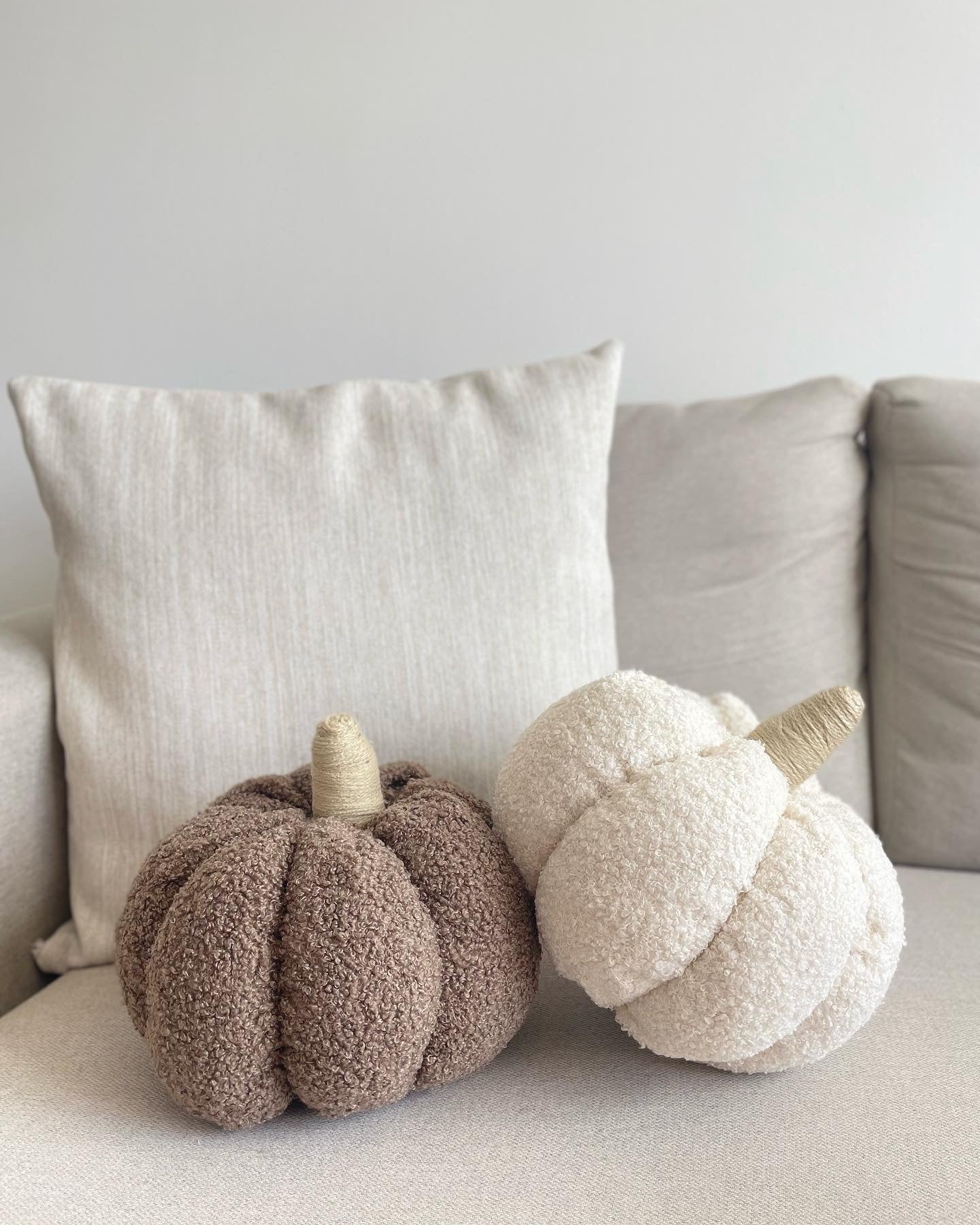 Calabazas Cojin
