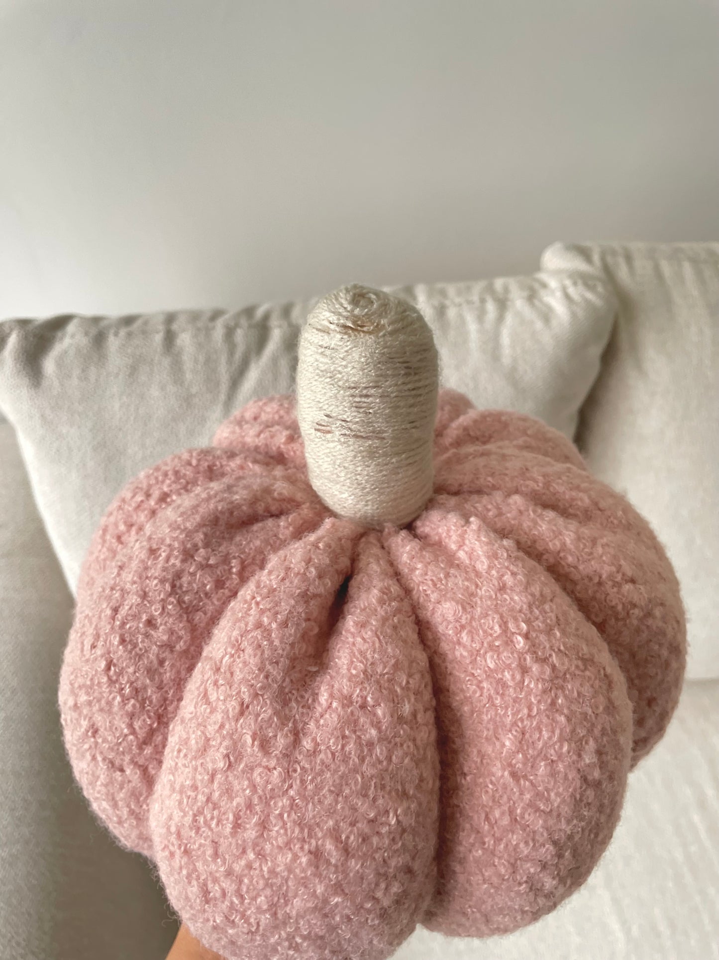 Calabazas Cojin