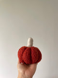 Calabazas Mini